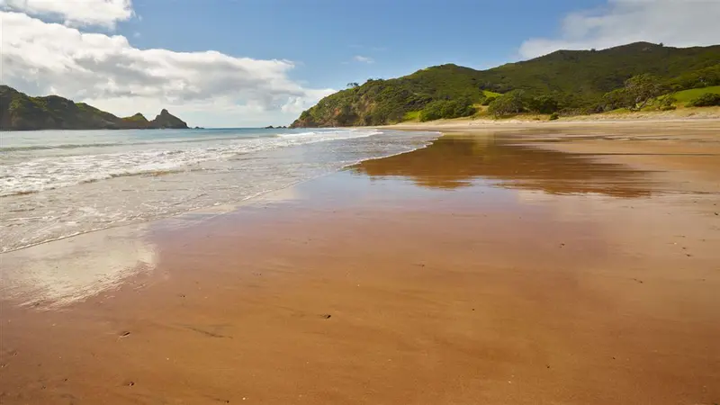Harataonga Coastal Walkway