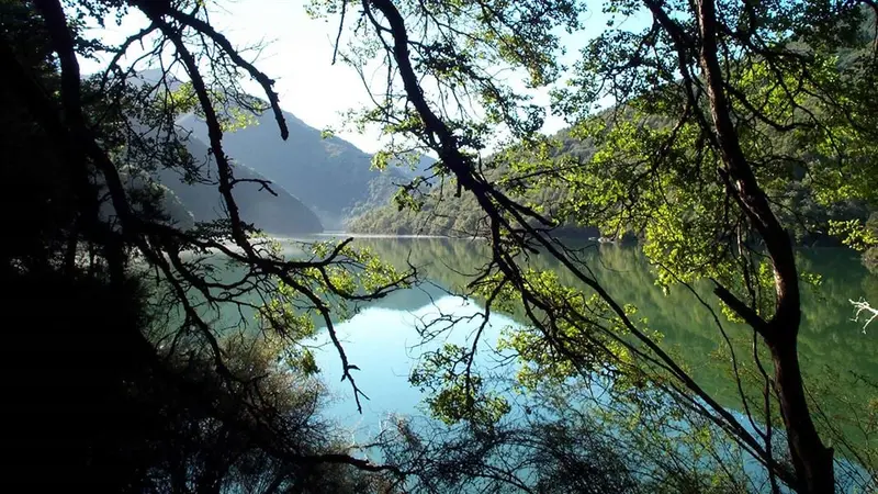 Lake Chalice Hut tracks