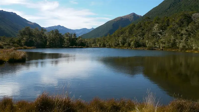 Lake Christabel tracks