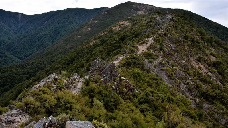 Cameron Hut via Mt Kuripapango and Smith-Russell Track
