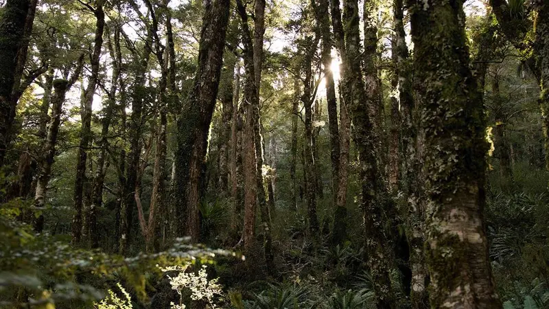 East Holdsworth Track