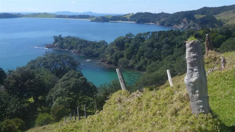 Paparahi Reserve Access Track