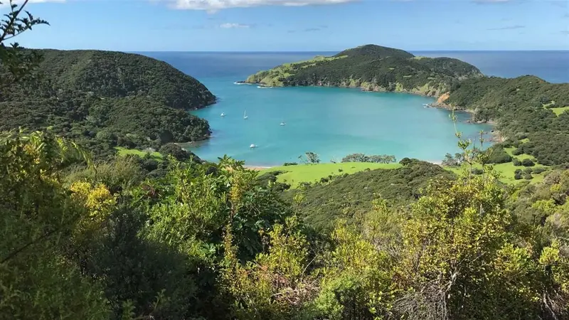 Whangamumu Track