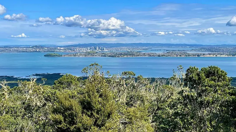 Rangitoto Summit Track
