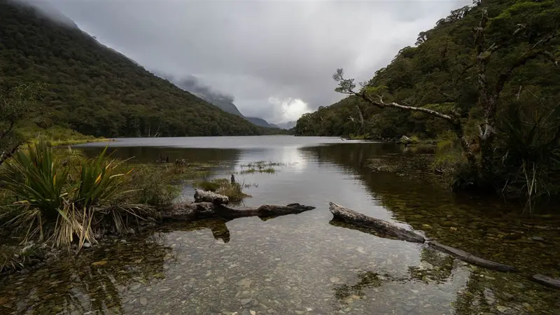 Routeburn Track: Lake Howden Track