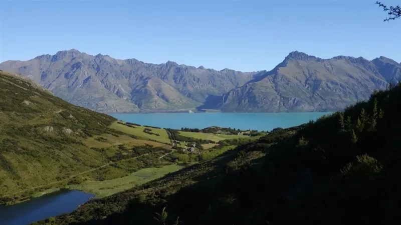 Mt Crichton Loop Track