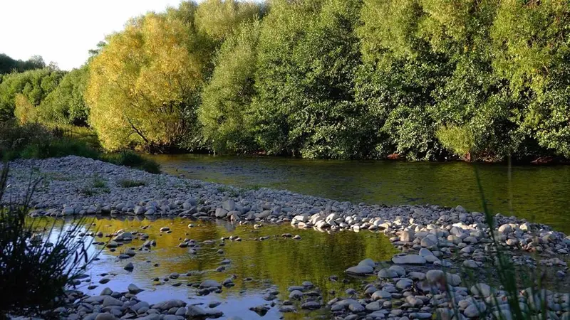 Maryburn Stream Track