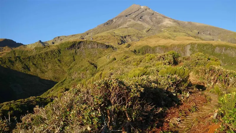 Maketawa Hut Circuit