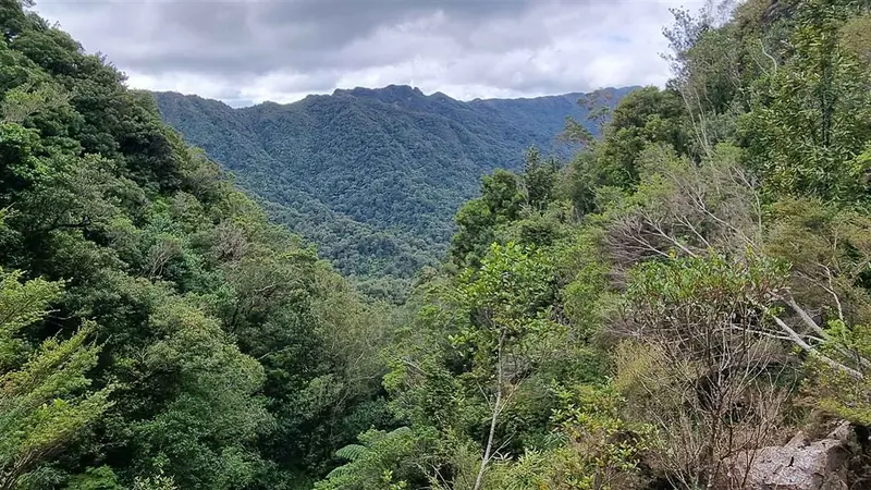 High-Level Pack Track