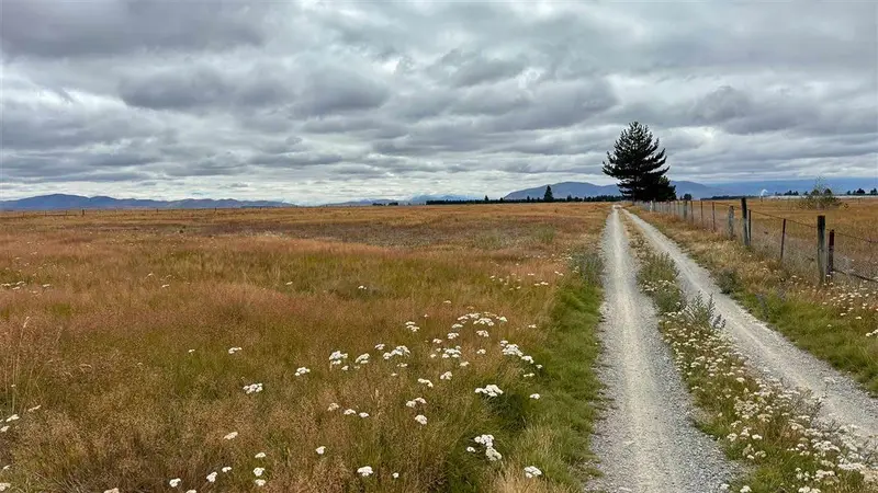 Pukaki Flats walk