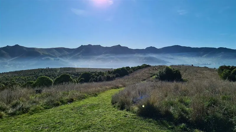 Ōtamahua/Quail Island tracks