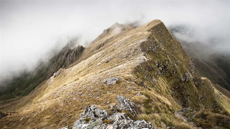 Neill Winchcombe Circuit