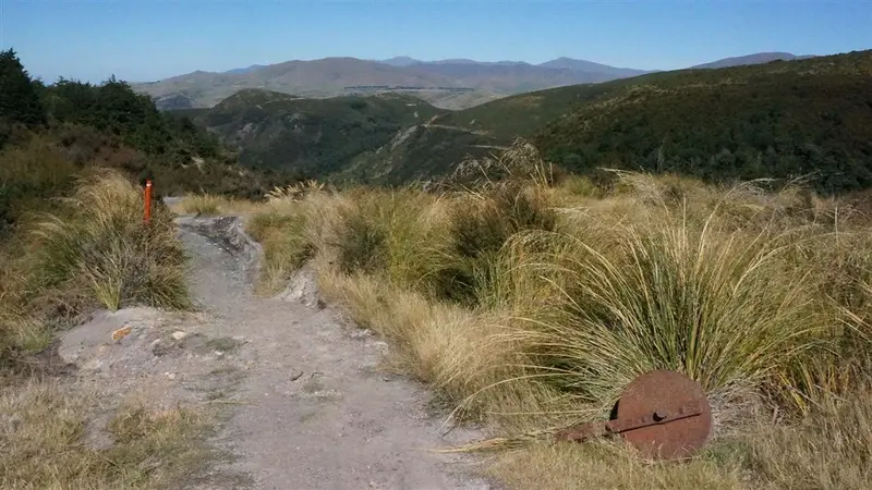 Track to Woolshed Creek Hut