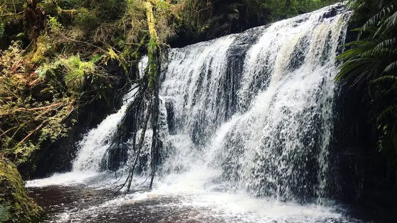 Waipohatu Waterfalls Track