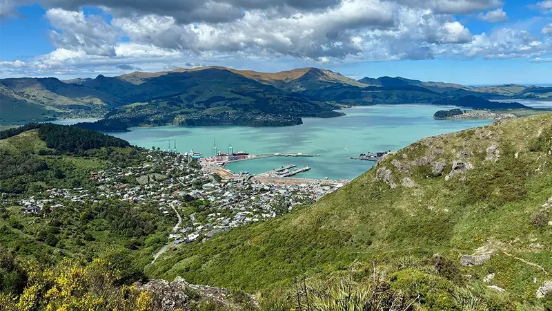 Major Hornbrook Track