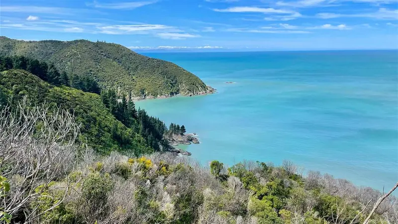 Rarangi–Whites Bay Track