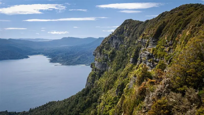 Lake Waikaremoana: Panekire Bluffs