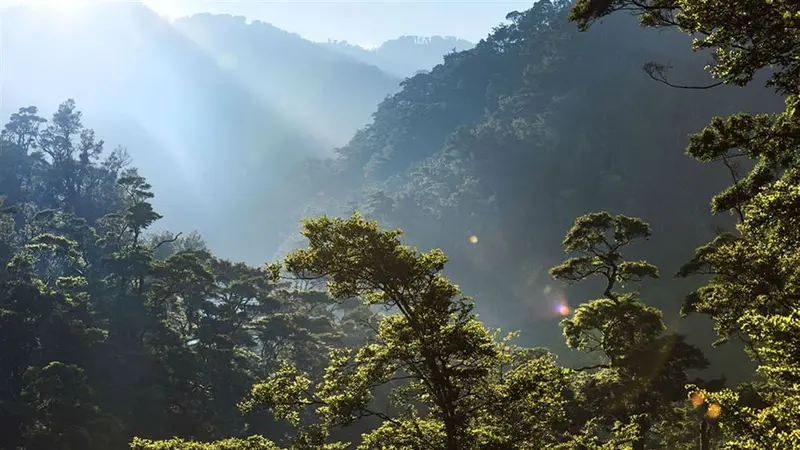 Te Pua-a-Tāne Circuit