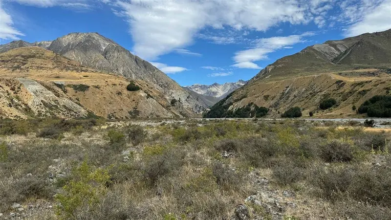 Bush Stream and Camp Stream tracks