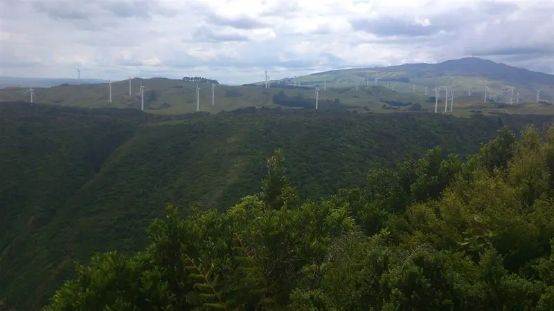 Manawatu Gorge Track