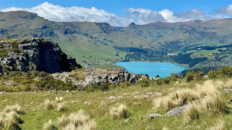 Mount Pleasant Track