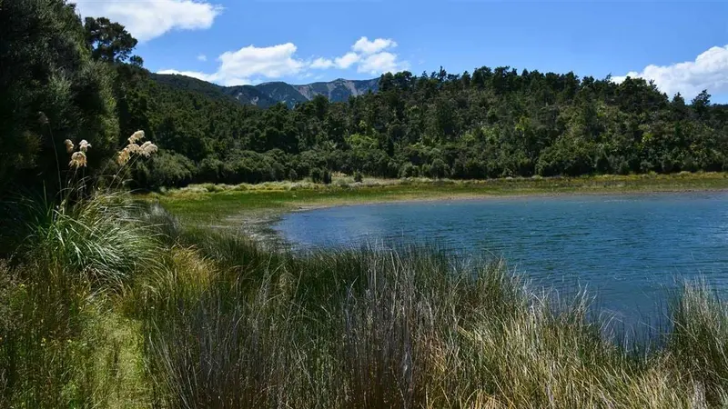 Lake Rototuna and Lake Rotoroa (Kaweka Lakes) Track