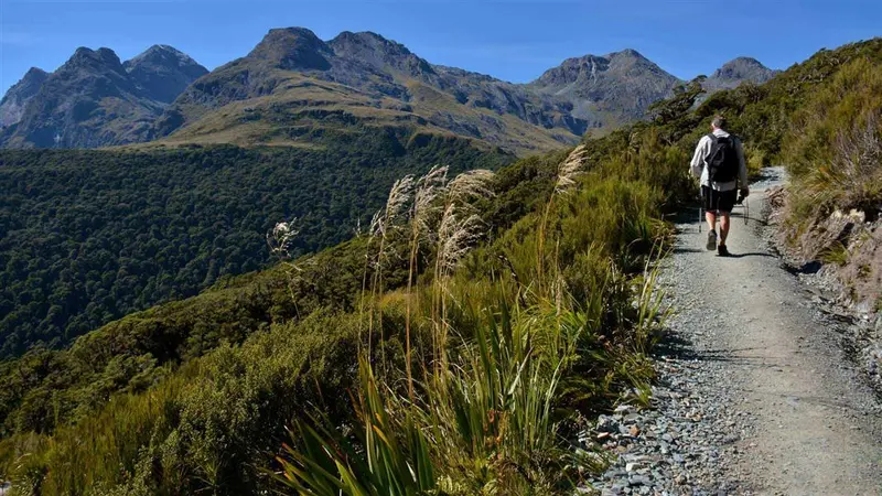 Routeburn Track: Key Summit Track