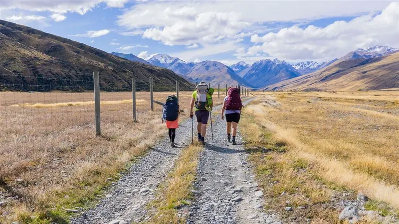 Macaulay Hut Track