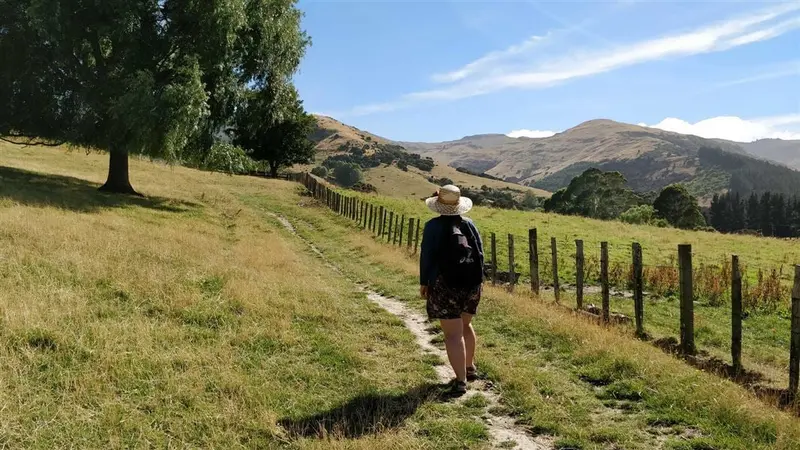 Kaituna Valley Packhorse Hut Track