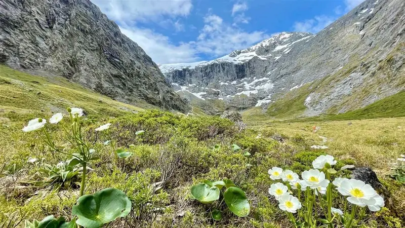 Gertrude Saddle Route