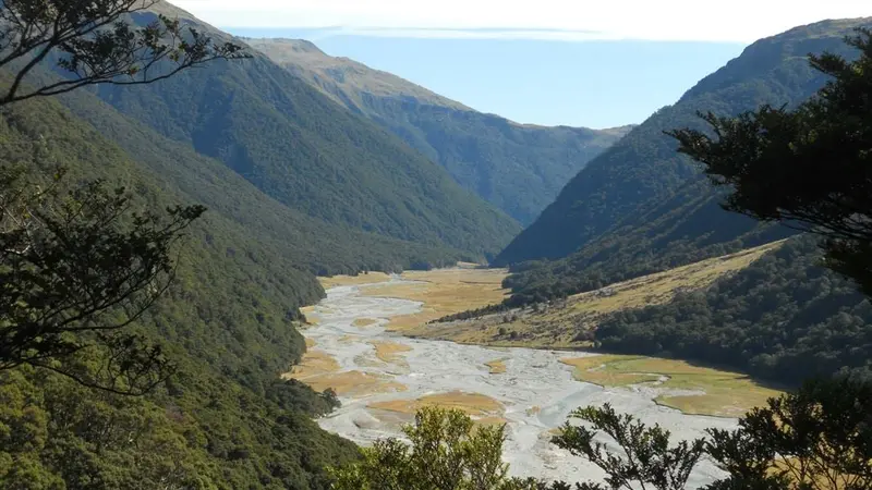 Makarora Valley Track