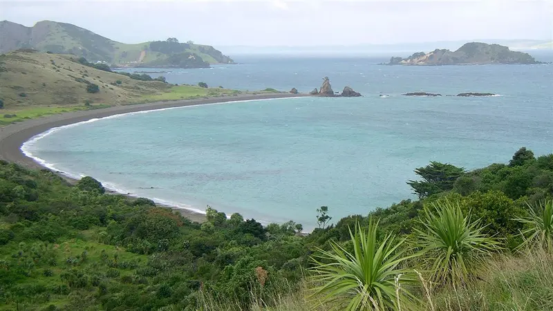 Motukawanui Island Track 
