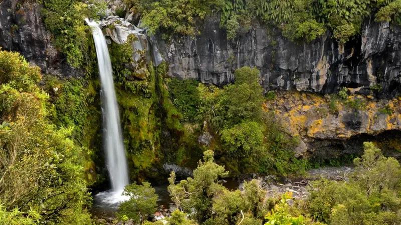 Track to Dawson Falls