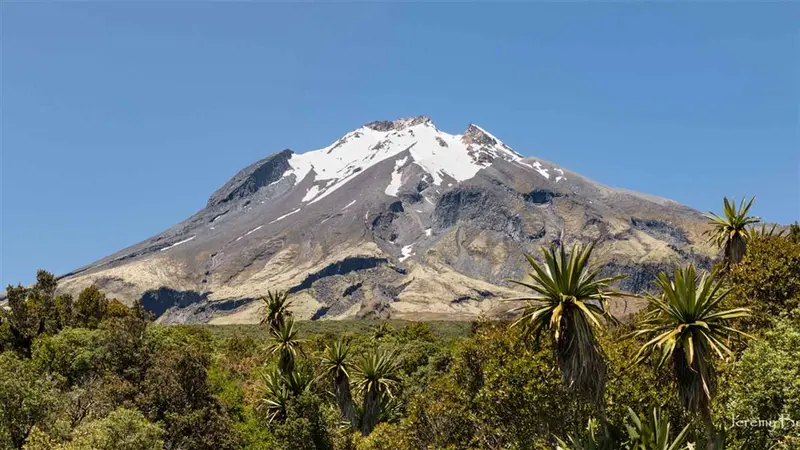 West Egmont tramping tracks