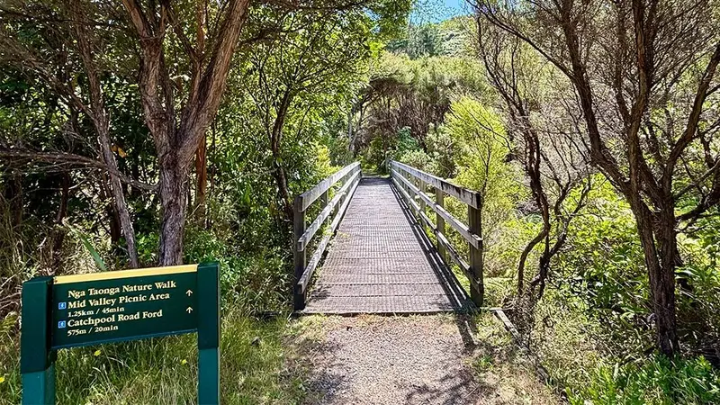 Nga Taonga Nature Walk