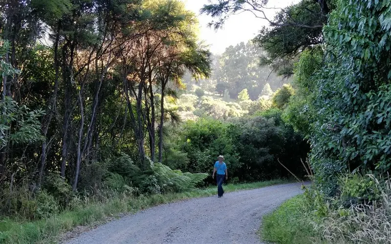 Okuti Valley Scenic Reserve walk