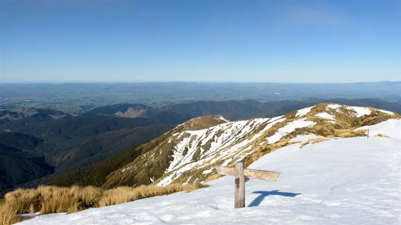 Holdsworth road end to Powell Hut/Mount Holdsworth