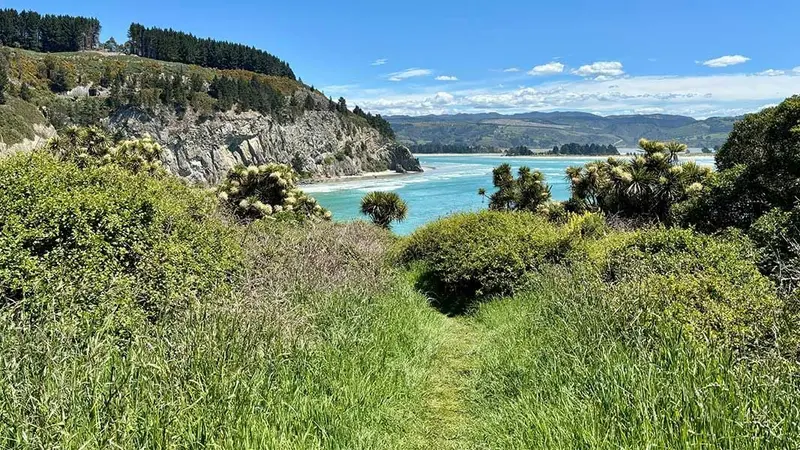 Mapoutahi Track