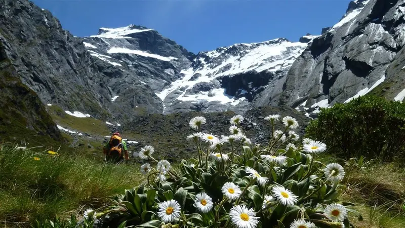 Gillespie Pass Circuit