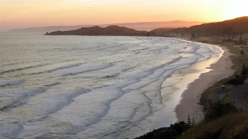 Okitu Bush Scenic Reserve Walk