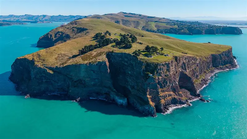 Awaroa/Godley Head Loop Track