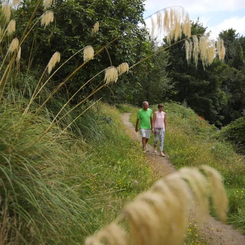 Carrington Walkway (Stratford)