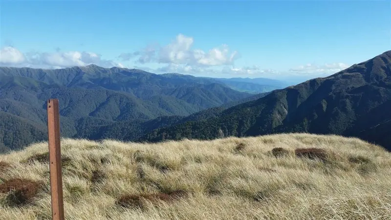 Renfrew Road end to Table Flat Road end