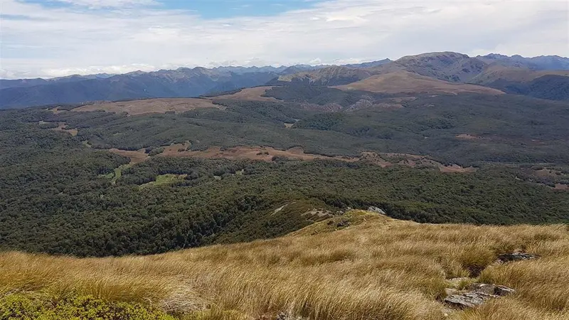 Cloustons Mine Track