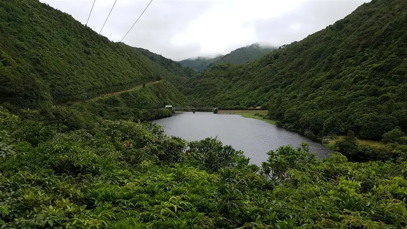 Mangahao Makahika Track