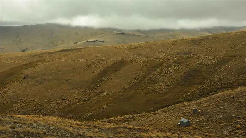 Kopuwai Track to Sisters Track