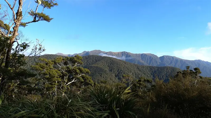 Kiriwhakapapa to Blue Range Hut