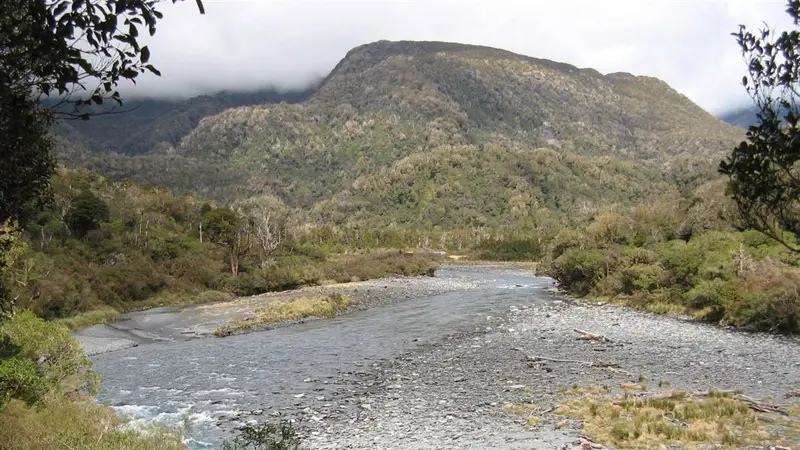 Toaroha/Zit Saddle/Kokatahi/Lathrop Saddle/Styx River  Route 