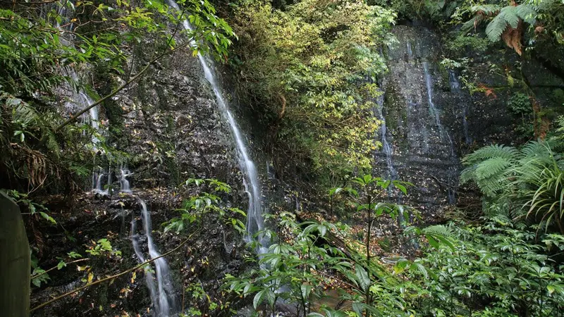 Barrs Falls (Barrs Falls Scenic Reserve)