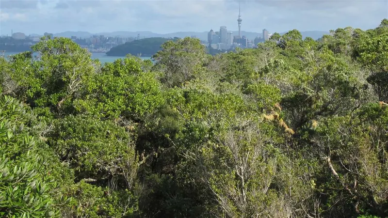 Rangitoto Island longer walks